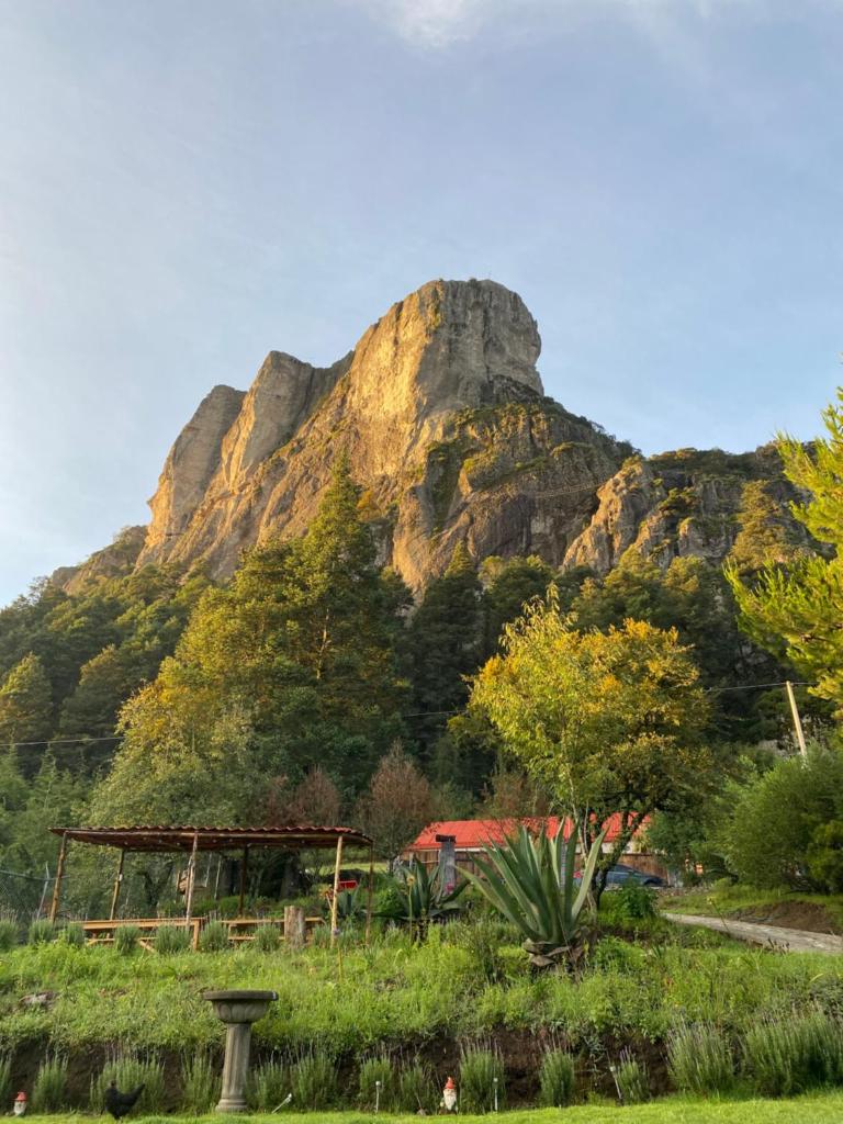 Hostal La Roca photo 3