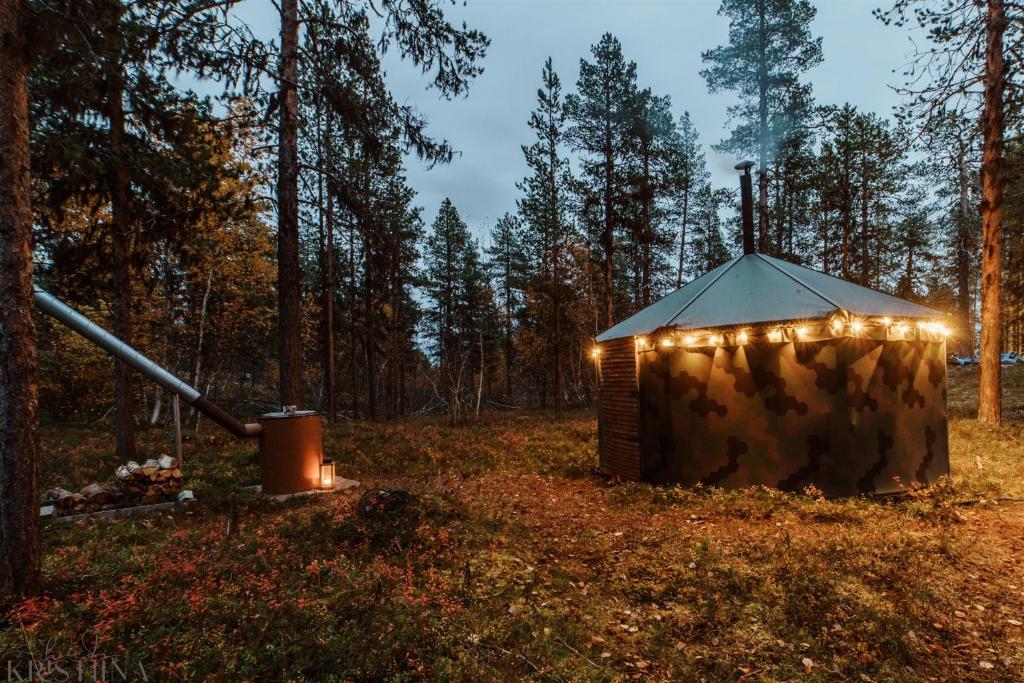 Ainutlaatuinen metsämajoitus photo 1