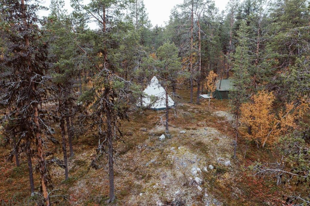 Ainutlaatuinen metsämajoitus photo 2