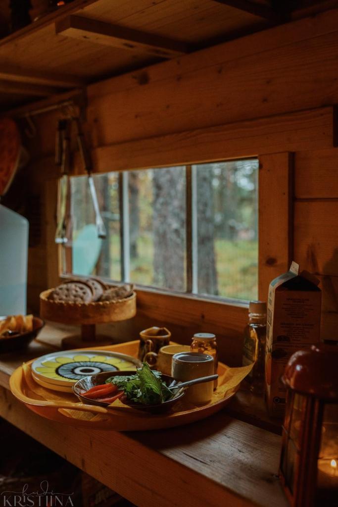 Ainutlaatuinen metsämajoitus photo 3
