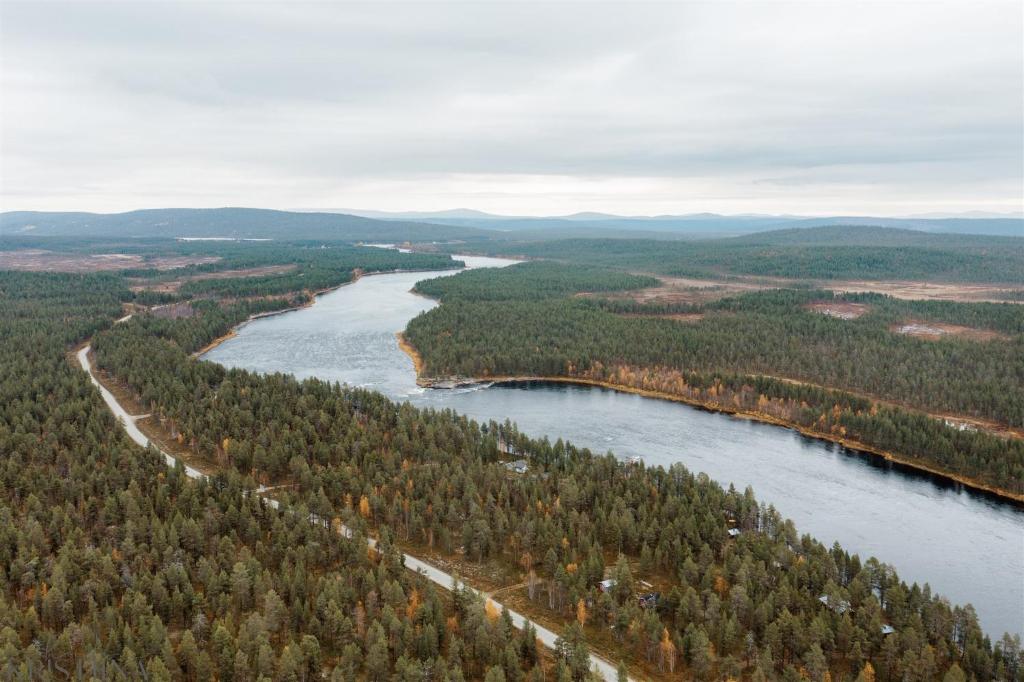 Ainutlaatuinen metsämajoitus photo 4