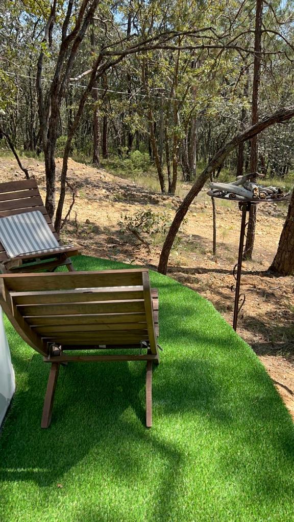 Glamping de lujo en Huasca photo 2