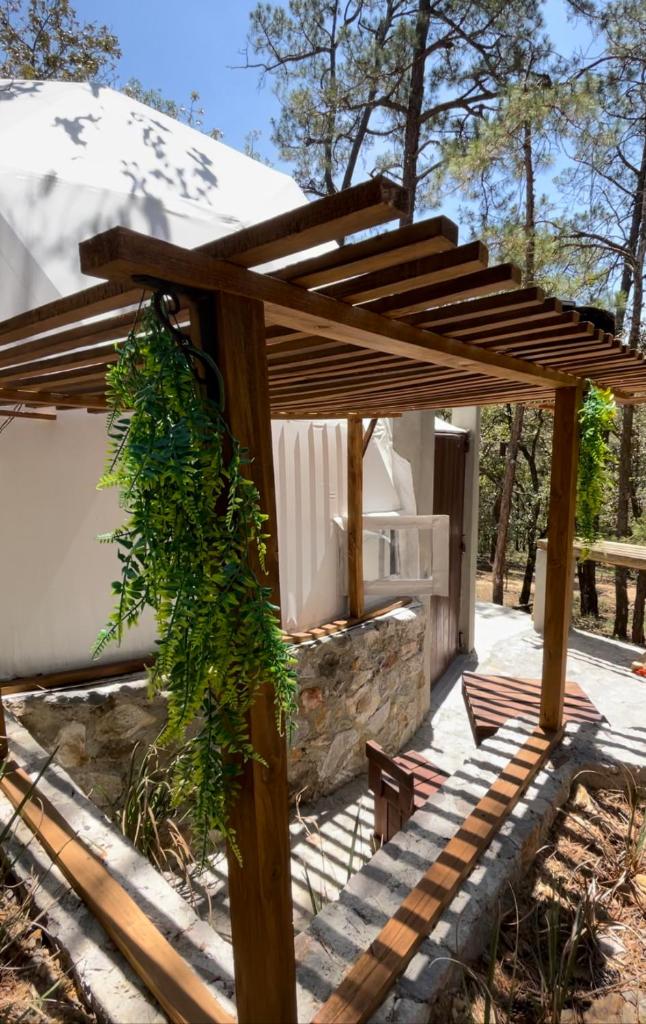 Glamping de lujo en Huasca photo 3