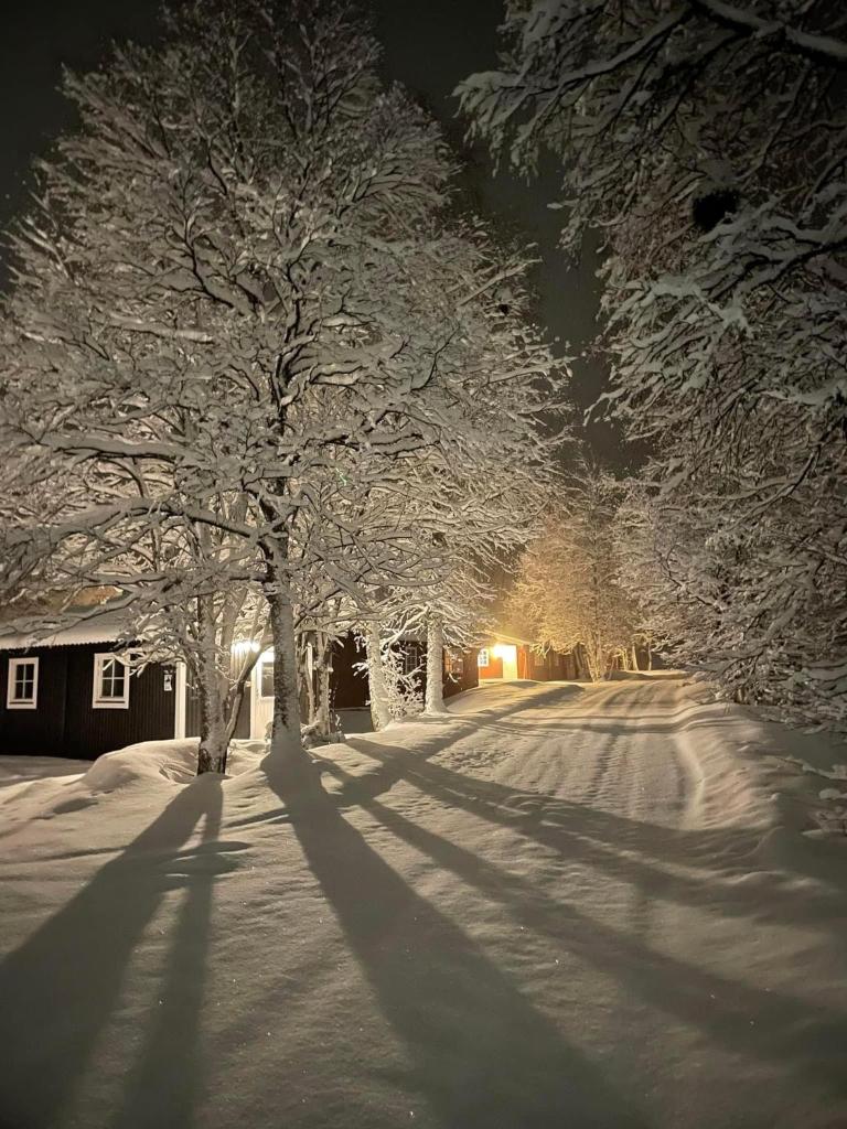 Åreskutans lägenhet med laddning för bil 22kW photo 4
