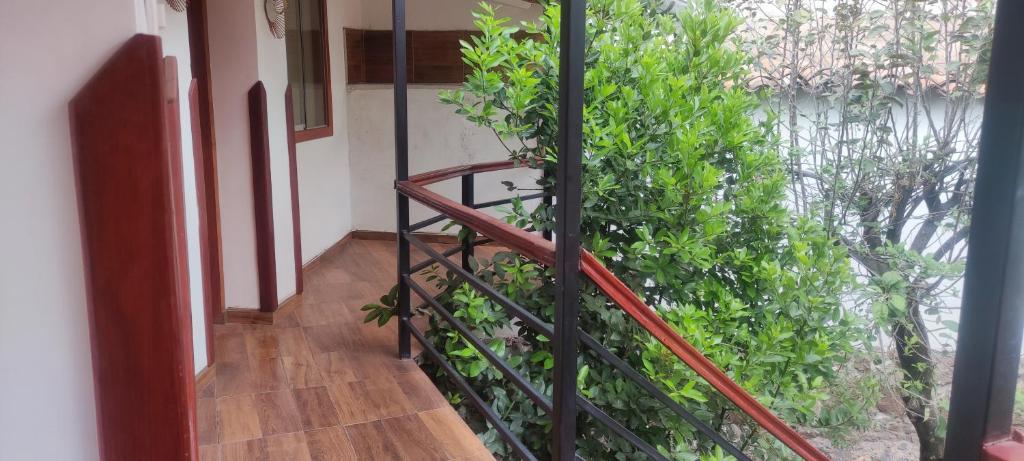 Anka Wasi Lodging photo 2