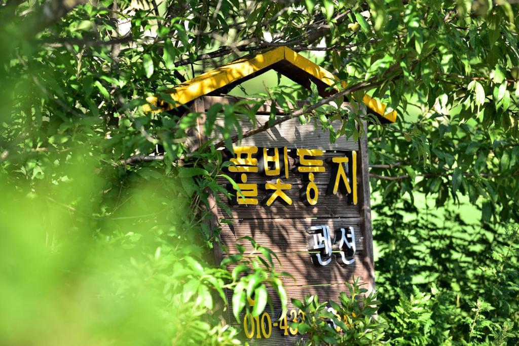 Yangyang Pulbit Pension photo 1