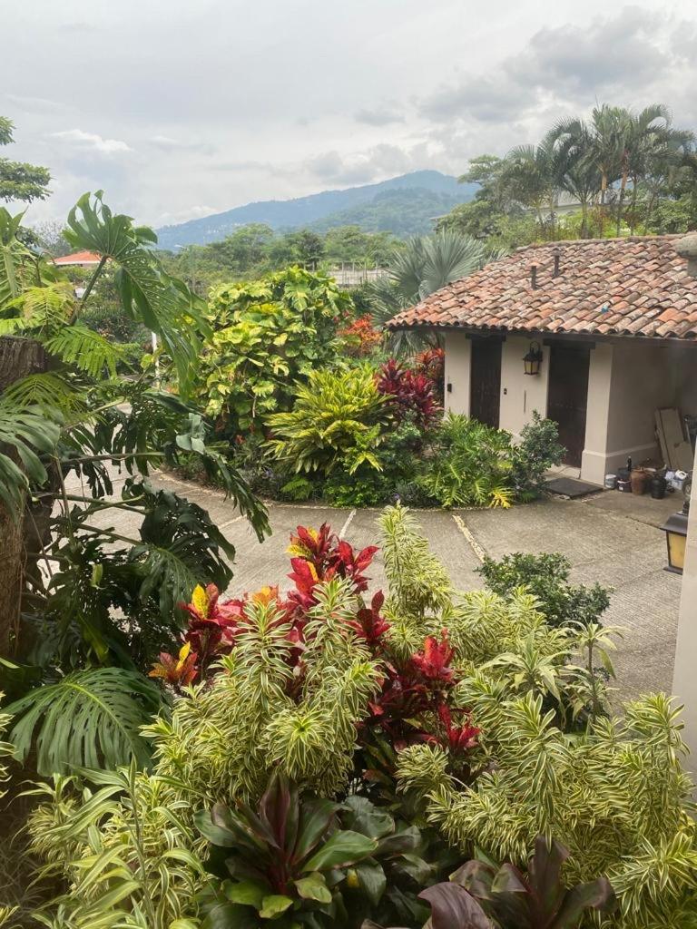 Villa Jade Santa Ana photo 1