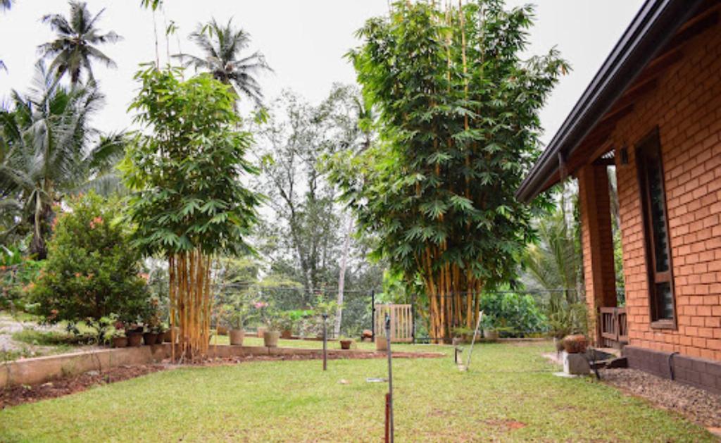 Mangi's Tranquil Bungalows photo 1