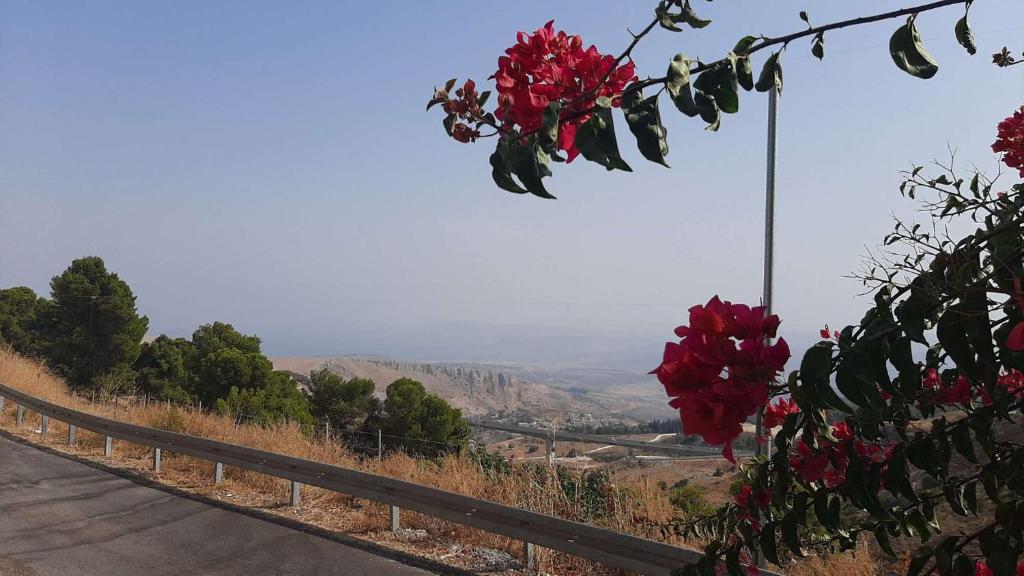 Relaxed garden apartment with Galilee sea view 1 photo 3