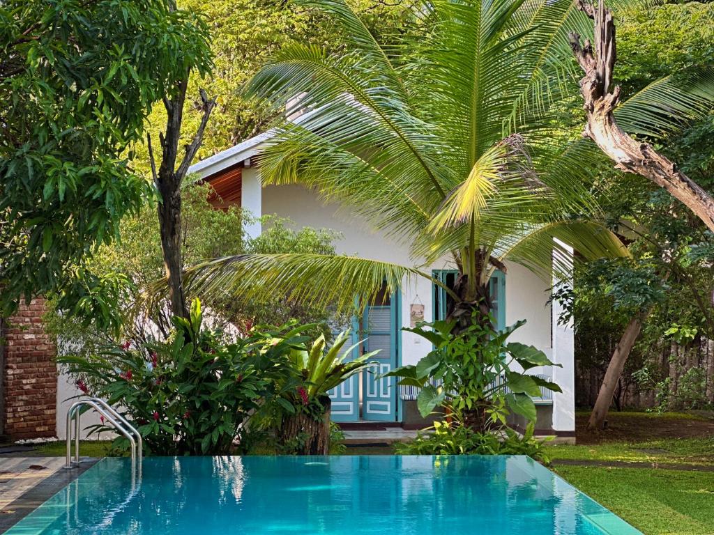 Kandalama Lodge photo 3