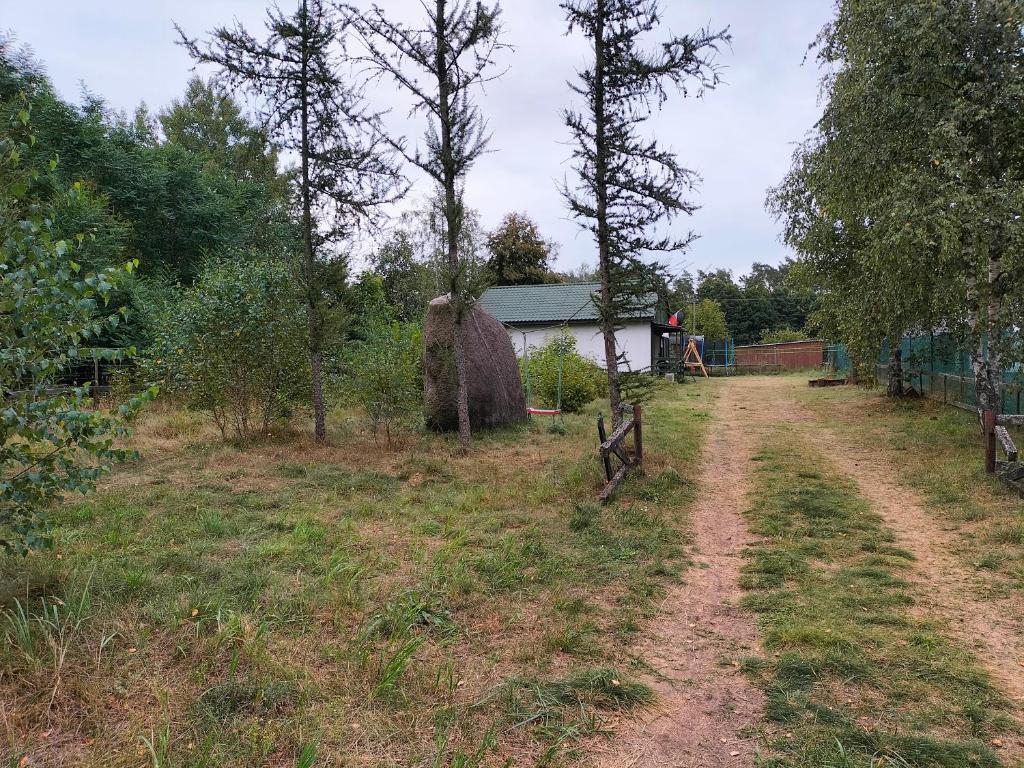 Leśna Chata kuracyjna z sauną w Borach Tucholskich photo 2