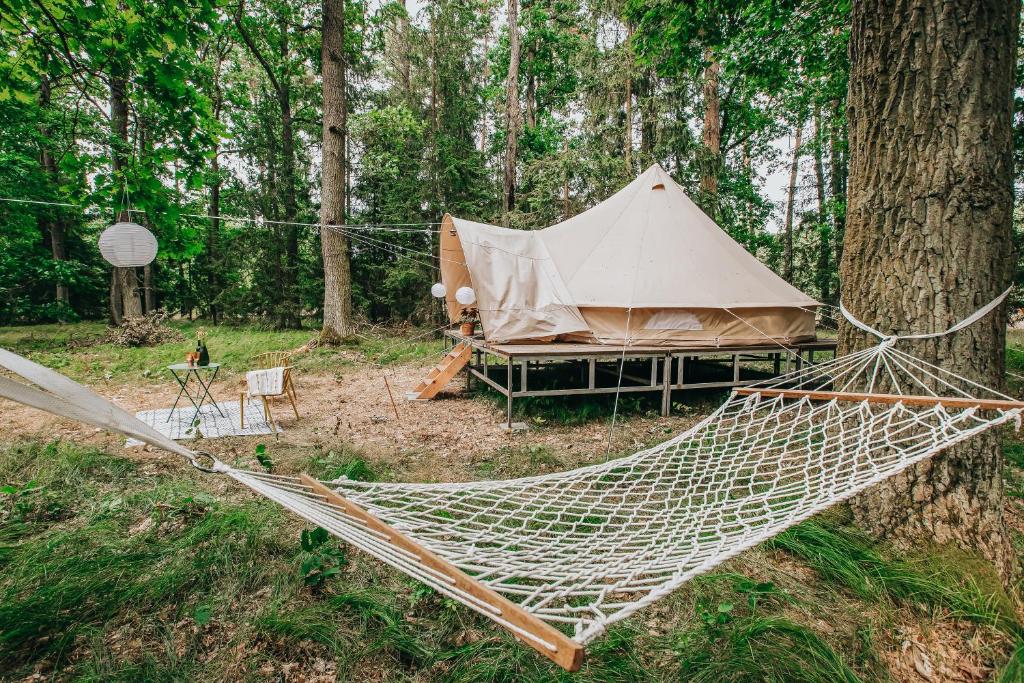 Glamping Černická obora photo 2