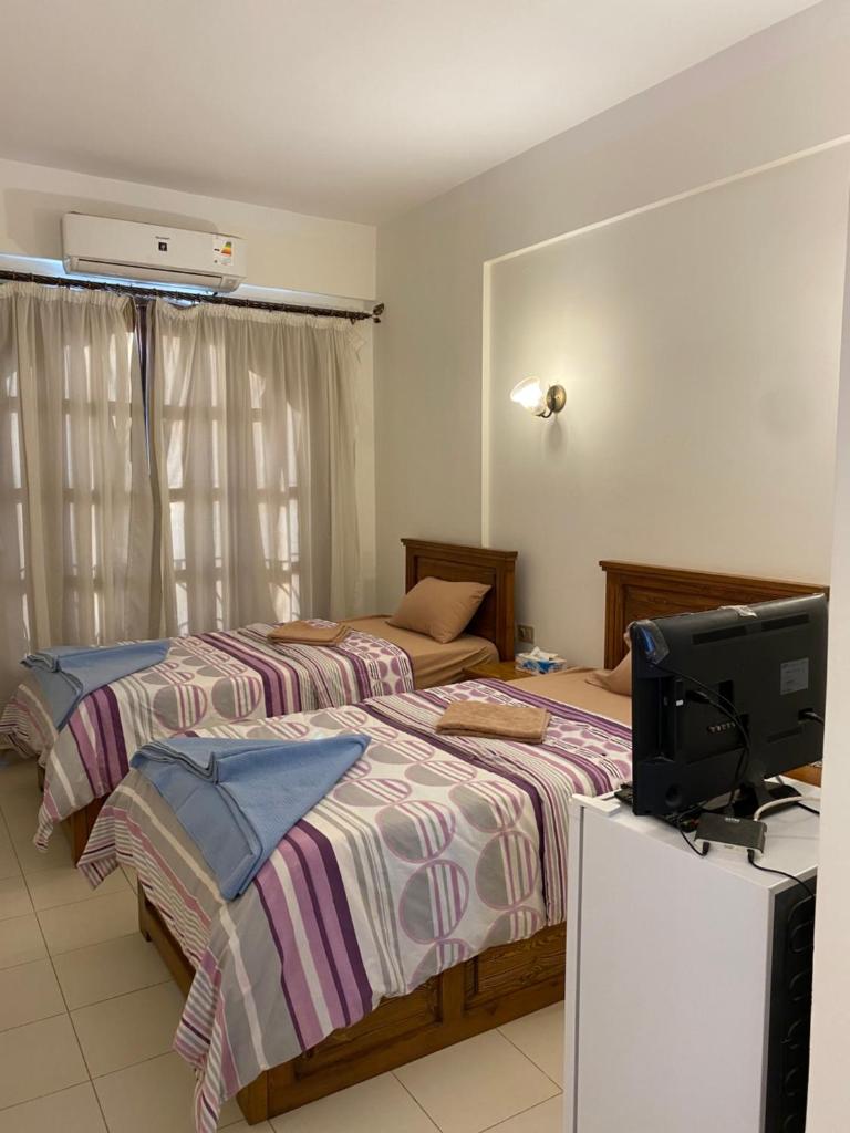 Dahab , property company Lighthouse area photo 4