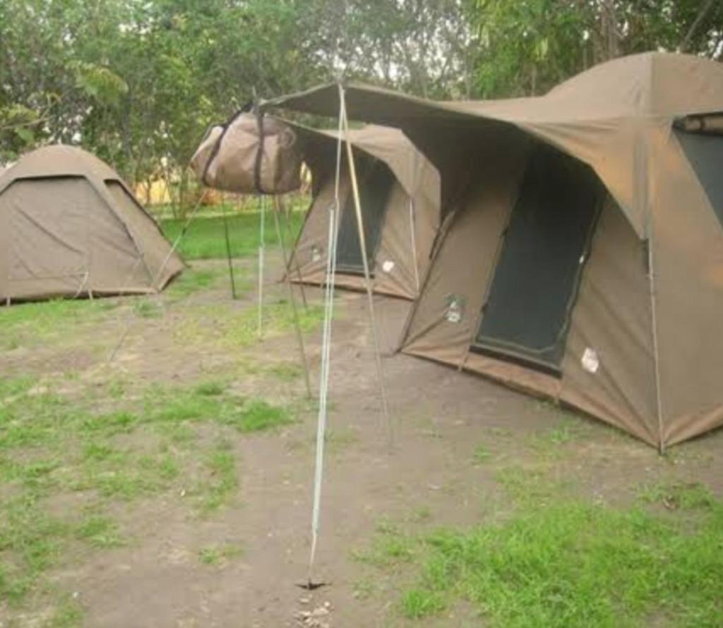 Camping Magamba Forest photo 2