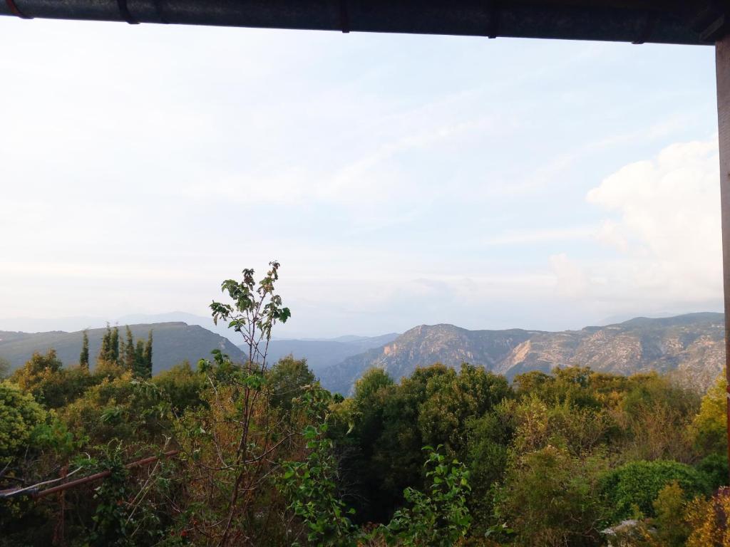 KOSTITSIS VIEW photo 3