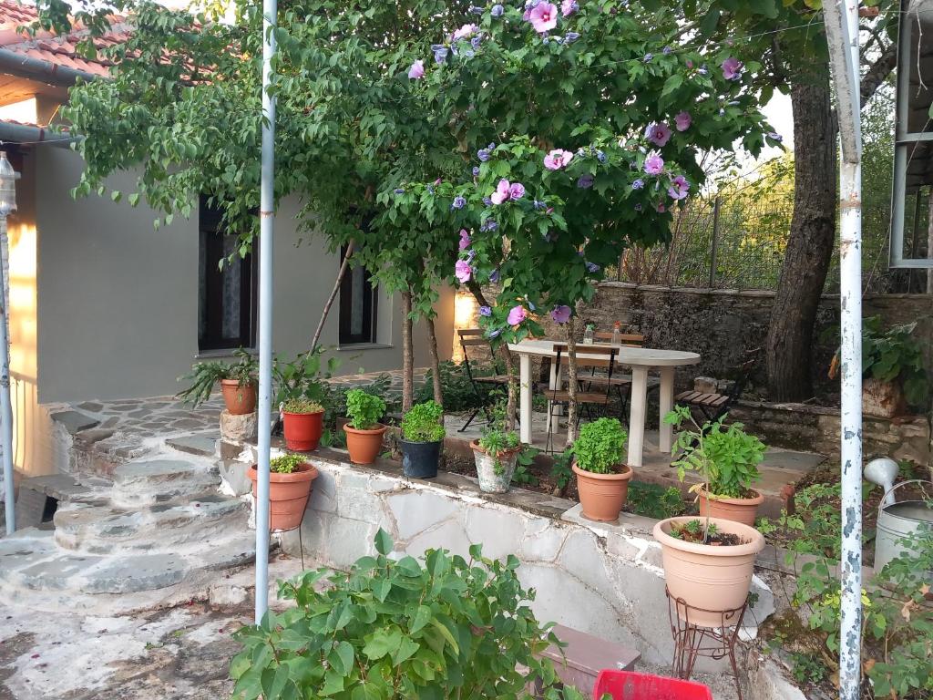 KOSTITSIS VIEW photo 4
