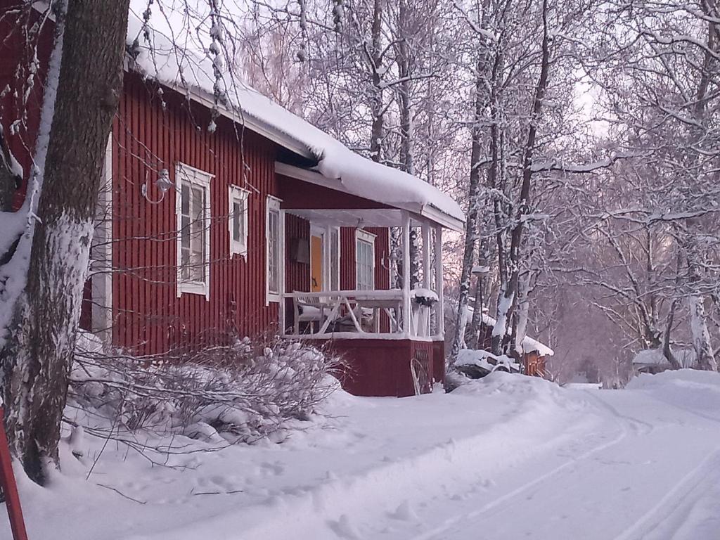 Punainen pihatorppa Hauholla