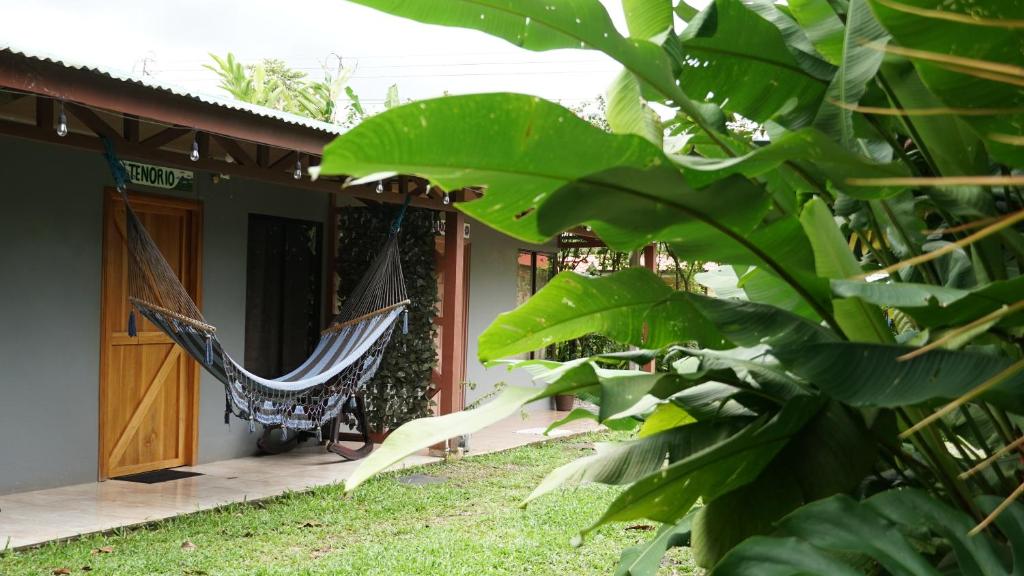 TENORIO - Rio Celeste Dreams photo 3