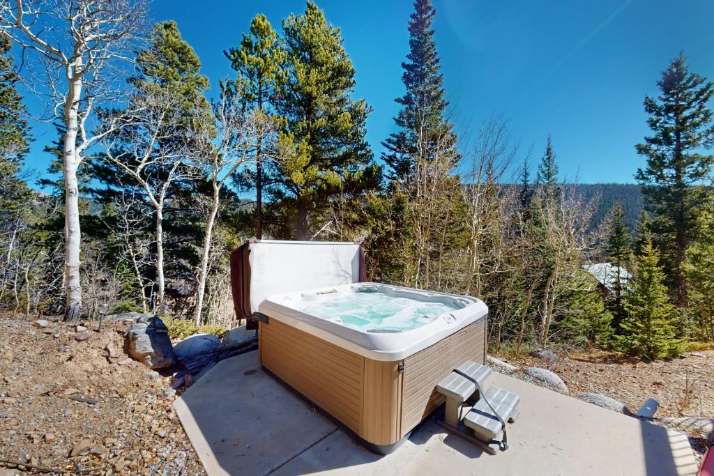Ski Retreat photo 3