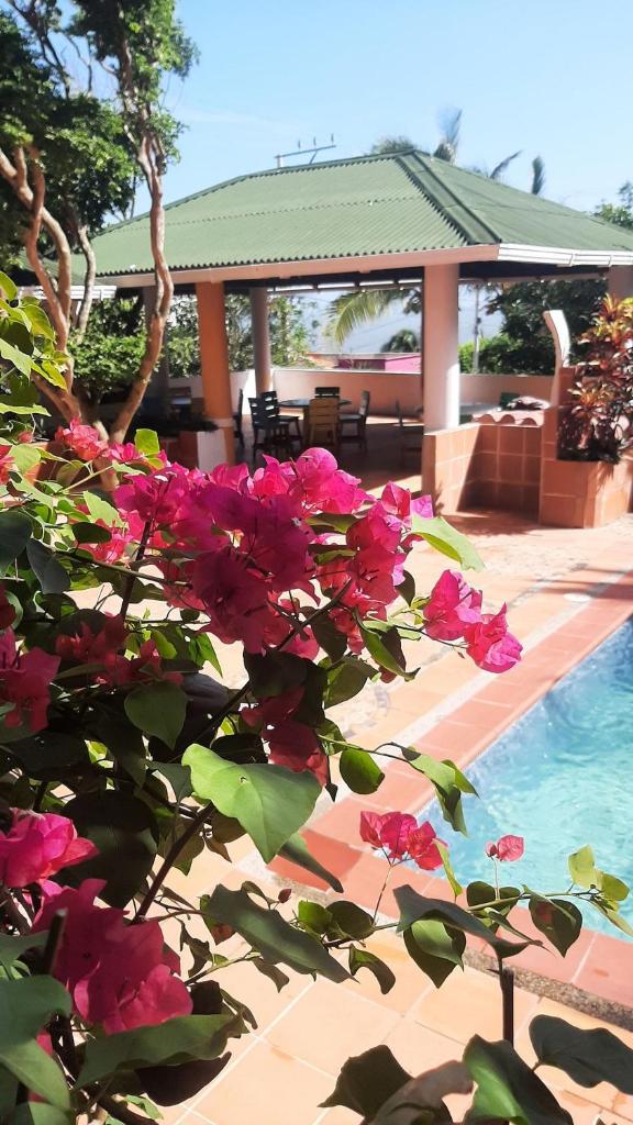 Tropical House Club BnB and Events, Salgar, Puerto Colombia photo 3