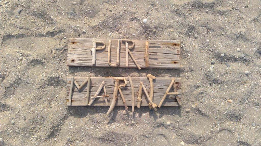 Pure Marina - Résidence Marina Plage photo 1