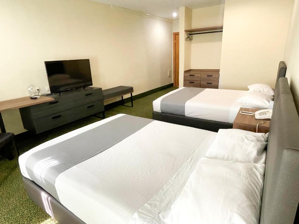 Hotel Sicomoro photo 2