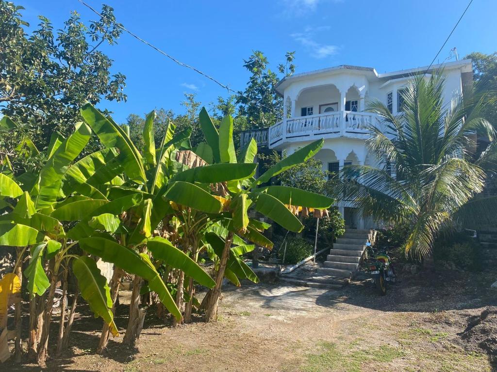 Likkle More Apartments