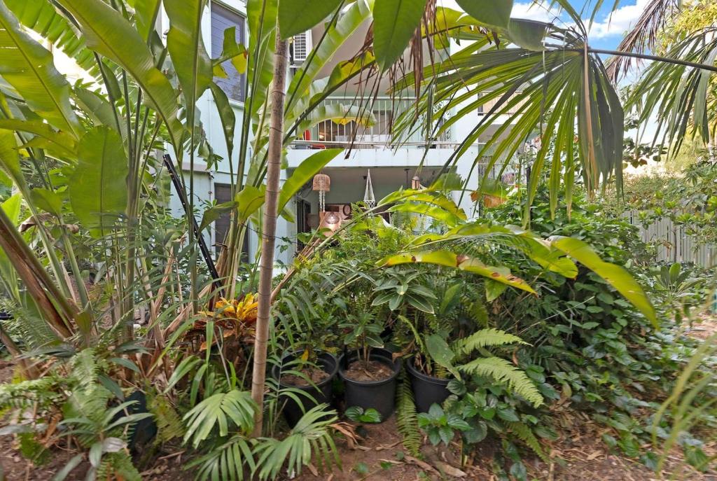 The Enchanted Garden - Breezy Tropical Allure photo 2