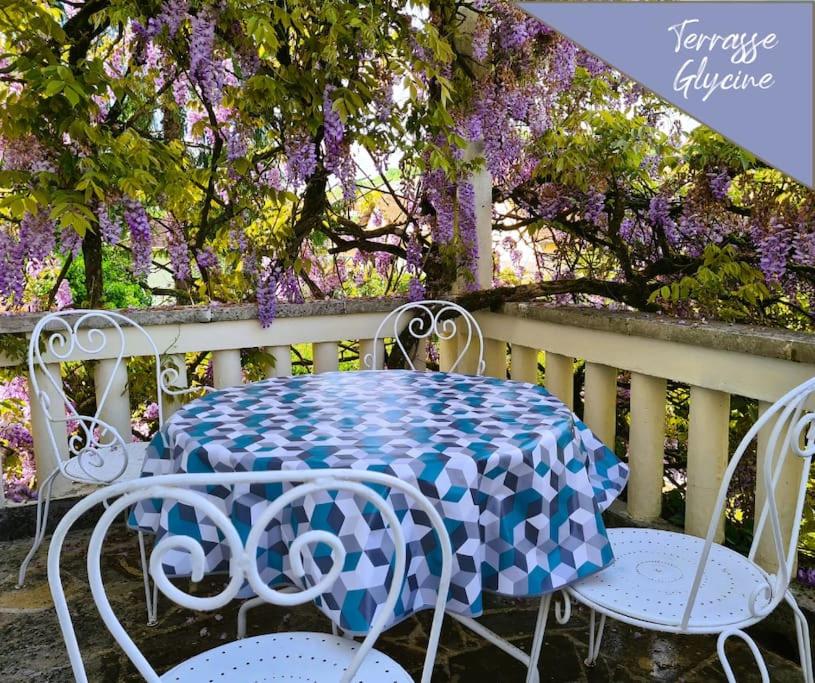 VILLA ANNEE 30 Rénovée ,Terrasse et Jardin photo 2