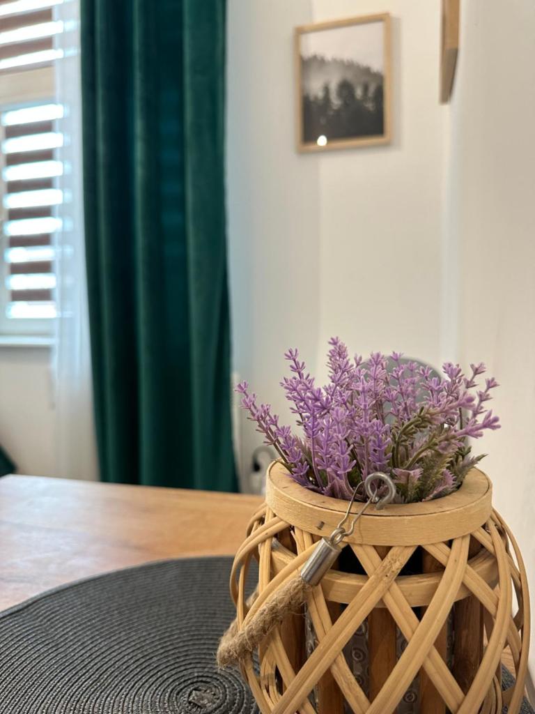 Apartament Zielony Kołłątaja photo 2