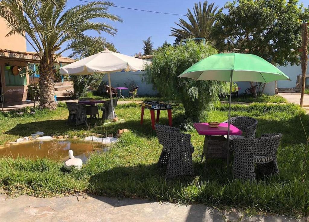 auberge touristique zriouila photo 4
