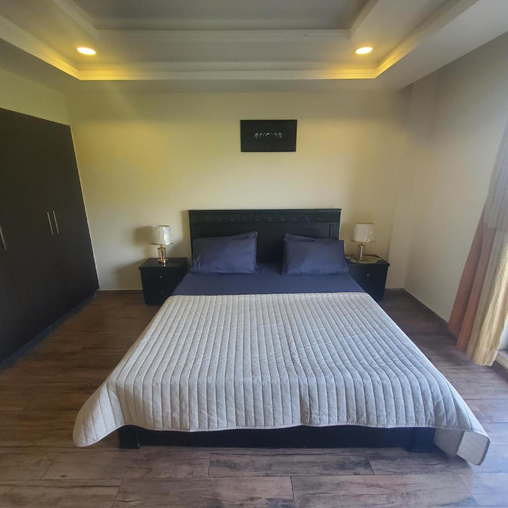 Private 1-Bedroom Apartment photo 2