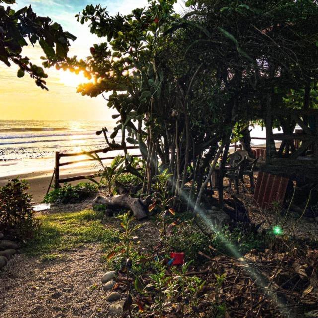 El Marabu Surf Resort photo 2