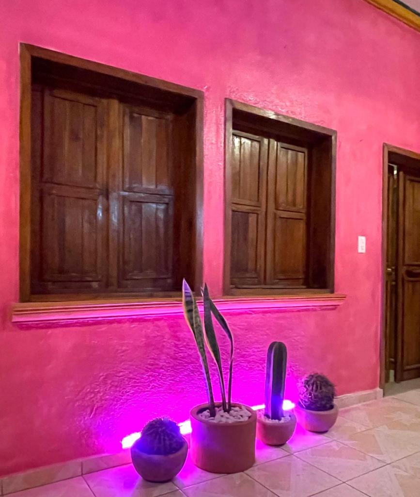 Casa Camilia photo 4