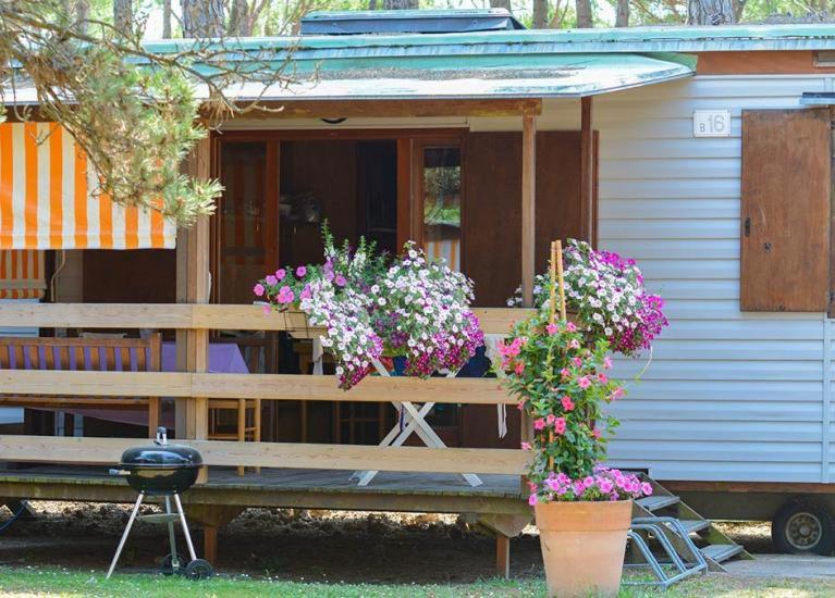 Il Tridente Camping Village photo 1