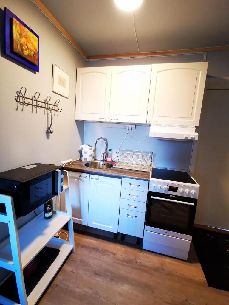 Abisko Guesthouse & Activities photo 2