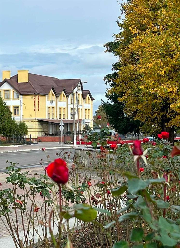 Бобри плюс photo 1