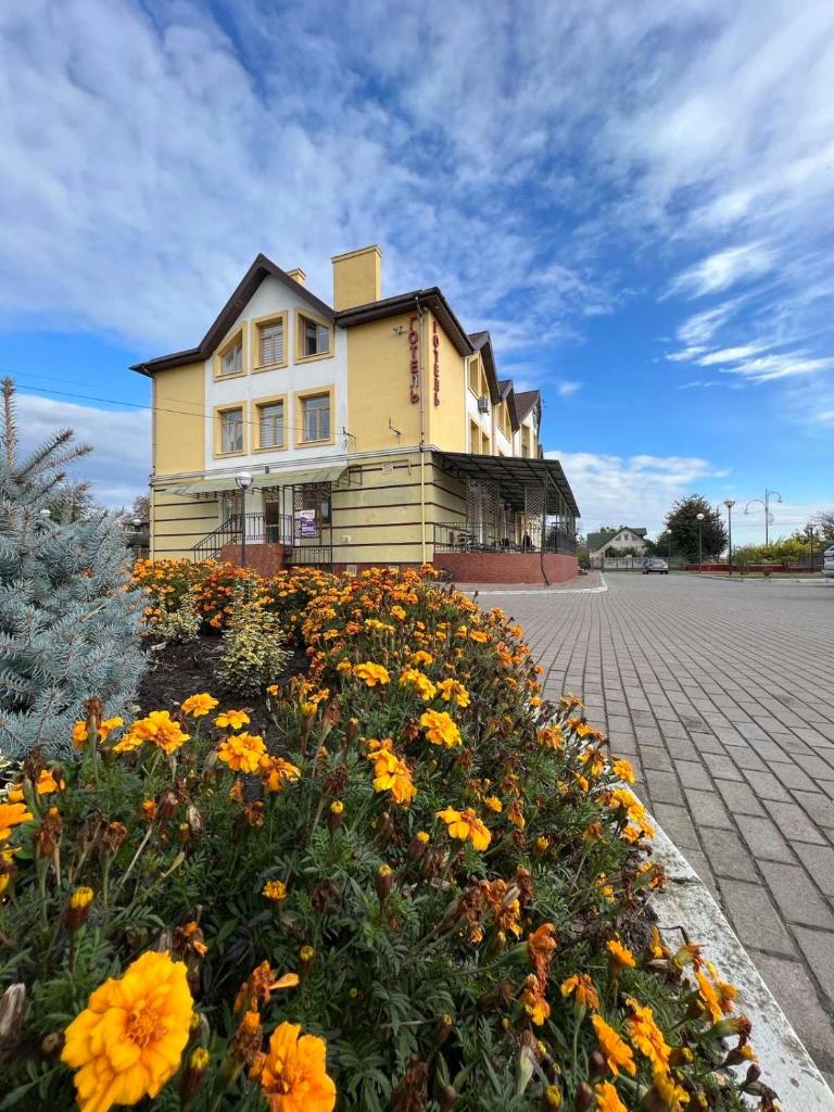 Бобри плюс photo 3