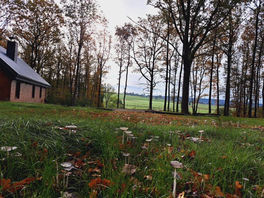 Le refuge du KL photo 2