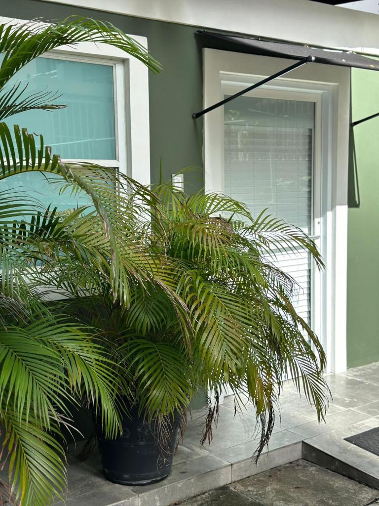 Casa Condado Hotel