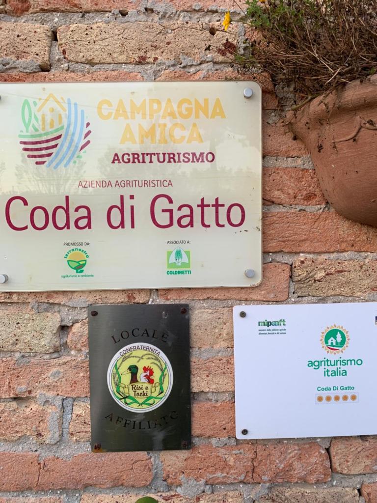 Agriturismo coda di gatto photo 1