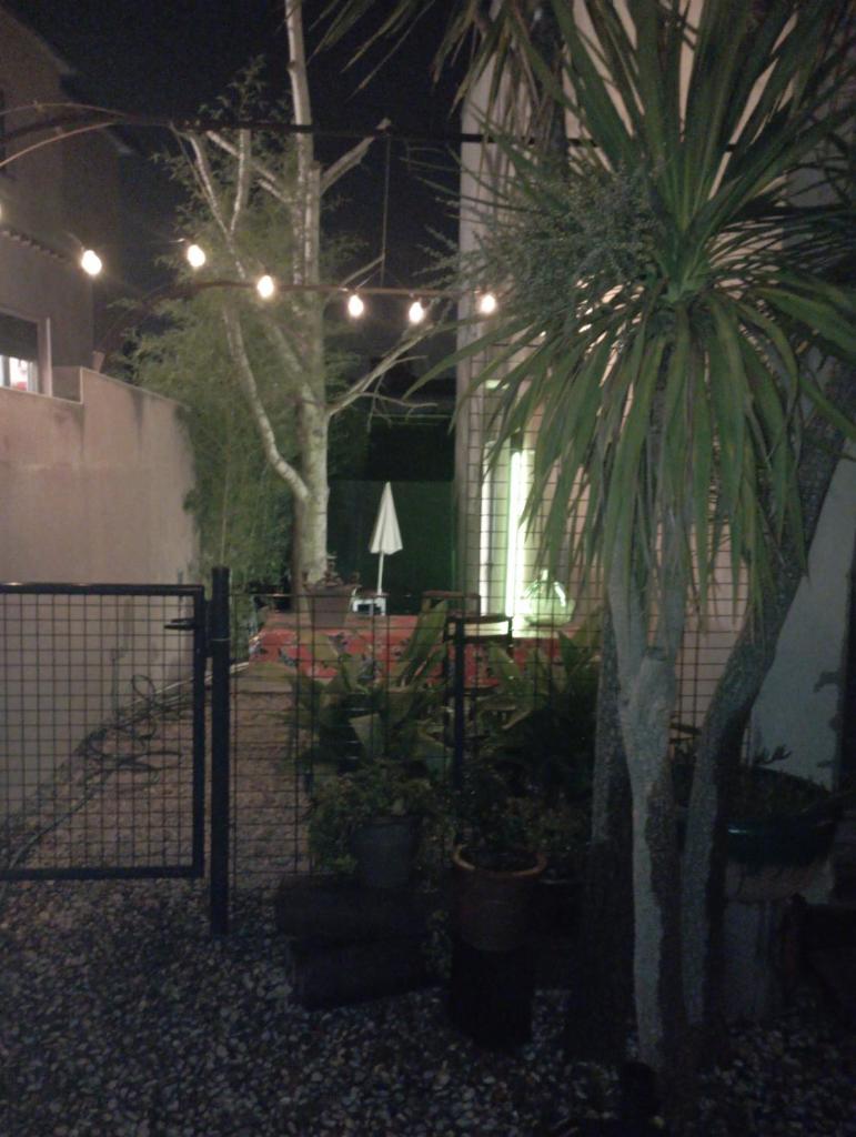 Bamboo Loft photo 4