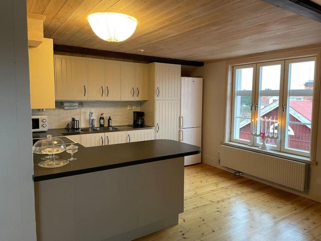Penthouse close to Vasaloppet finish line portal photo 2
