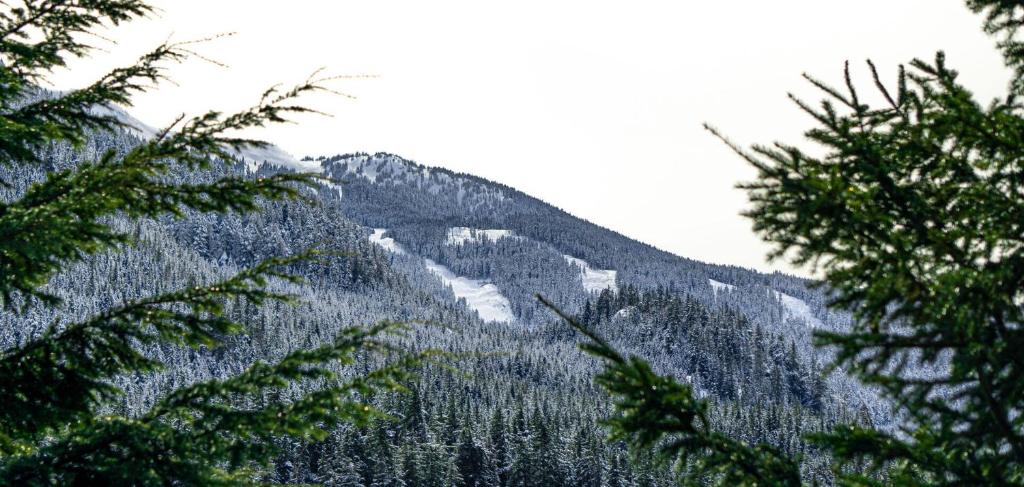 Ravencrest by Outpost Whistler photo 2
