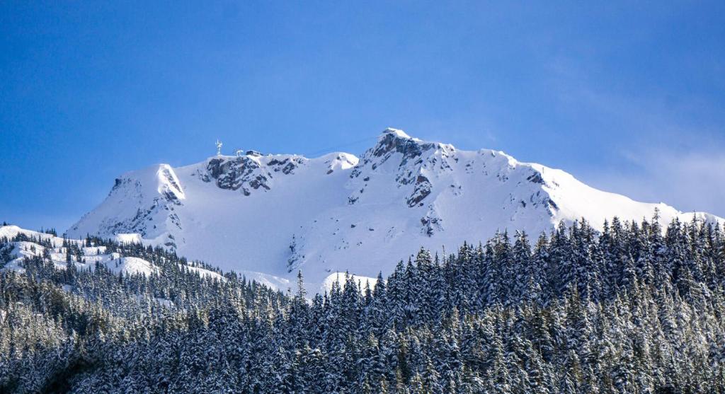 Ravencrest by Outpost Whistler photo 1