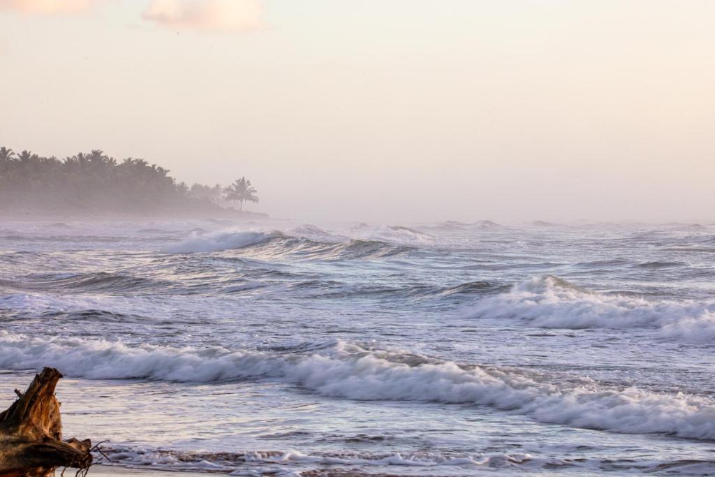 Casa aconchegante na Bahia para viver uma experiência de hospedagem pertinho da praia photo 1