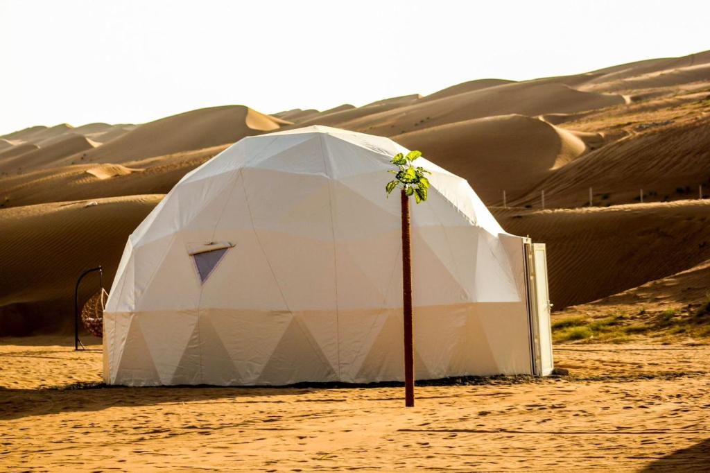 Golden Desert Camp photo 3