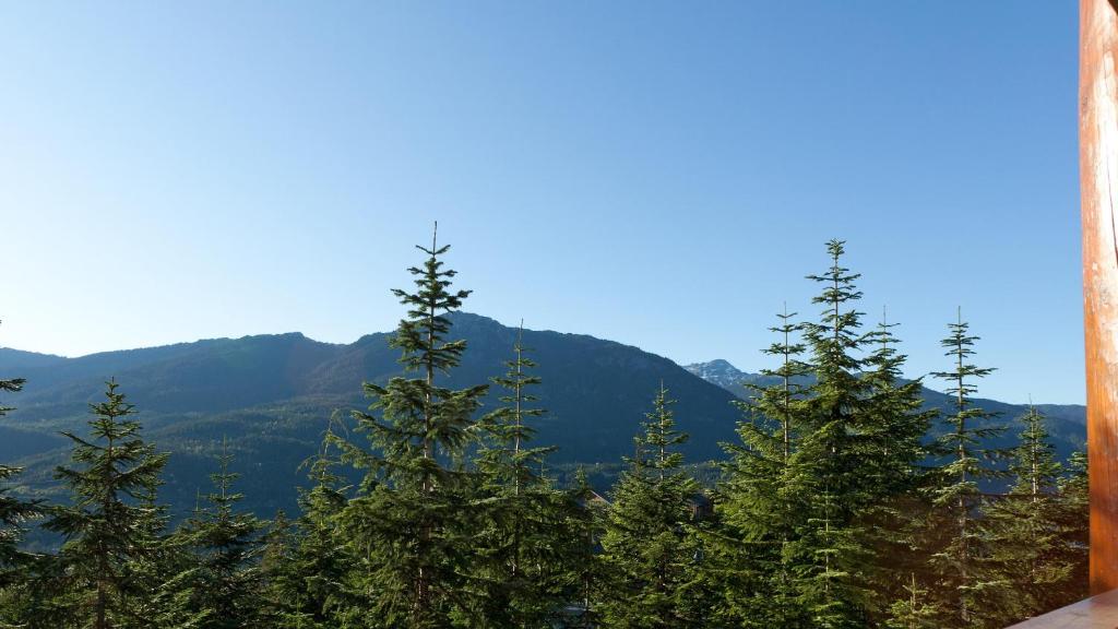 Taluswood The Heights 17 - Townhome with mountain views, gourmet kitchen & hot tub - Whistler Platinum photo 3