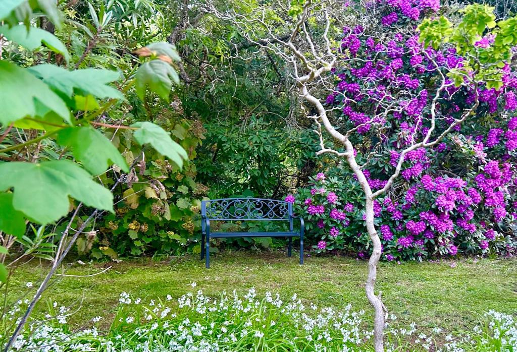 Mountain Cottage in Dandenong Ranges photo 4