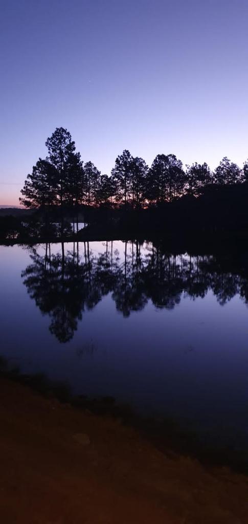 Reserva do Lago photo 1